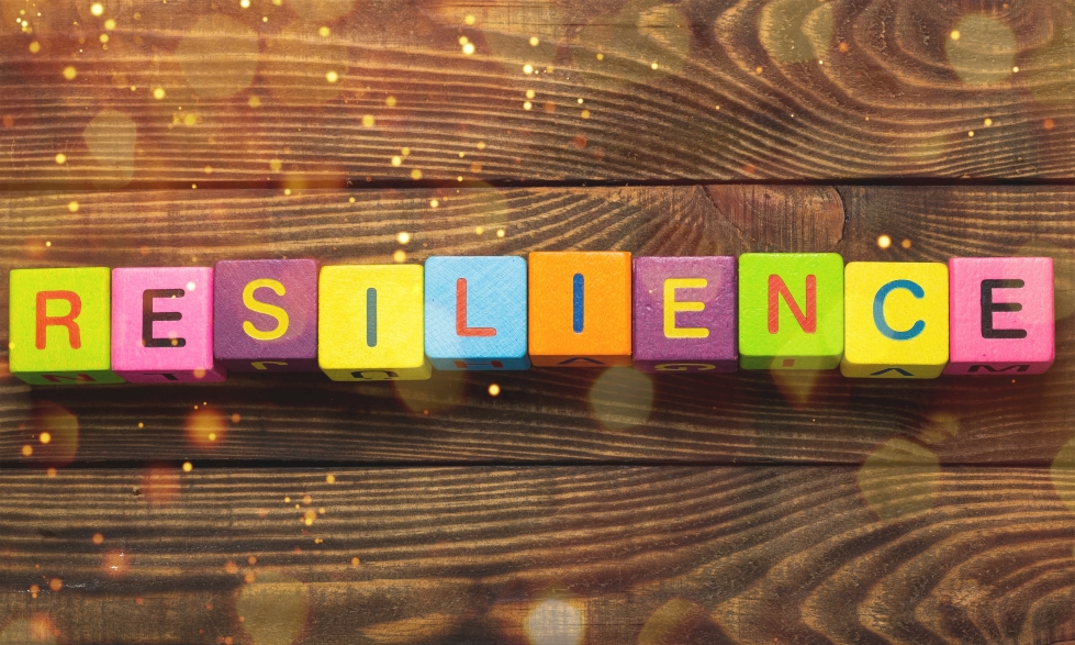 resilienza