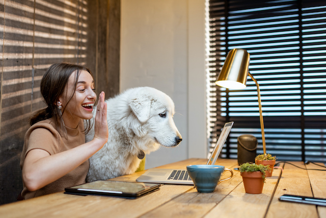 A female employee shows off her dog during a virtual team meeting.