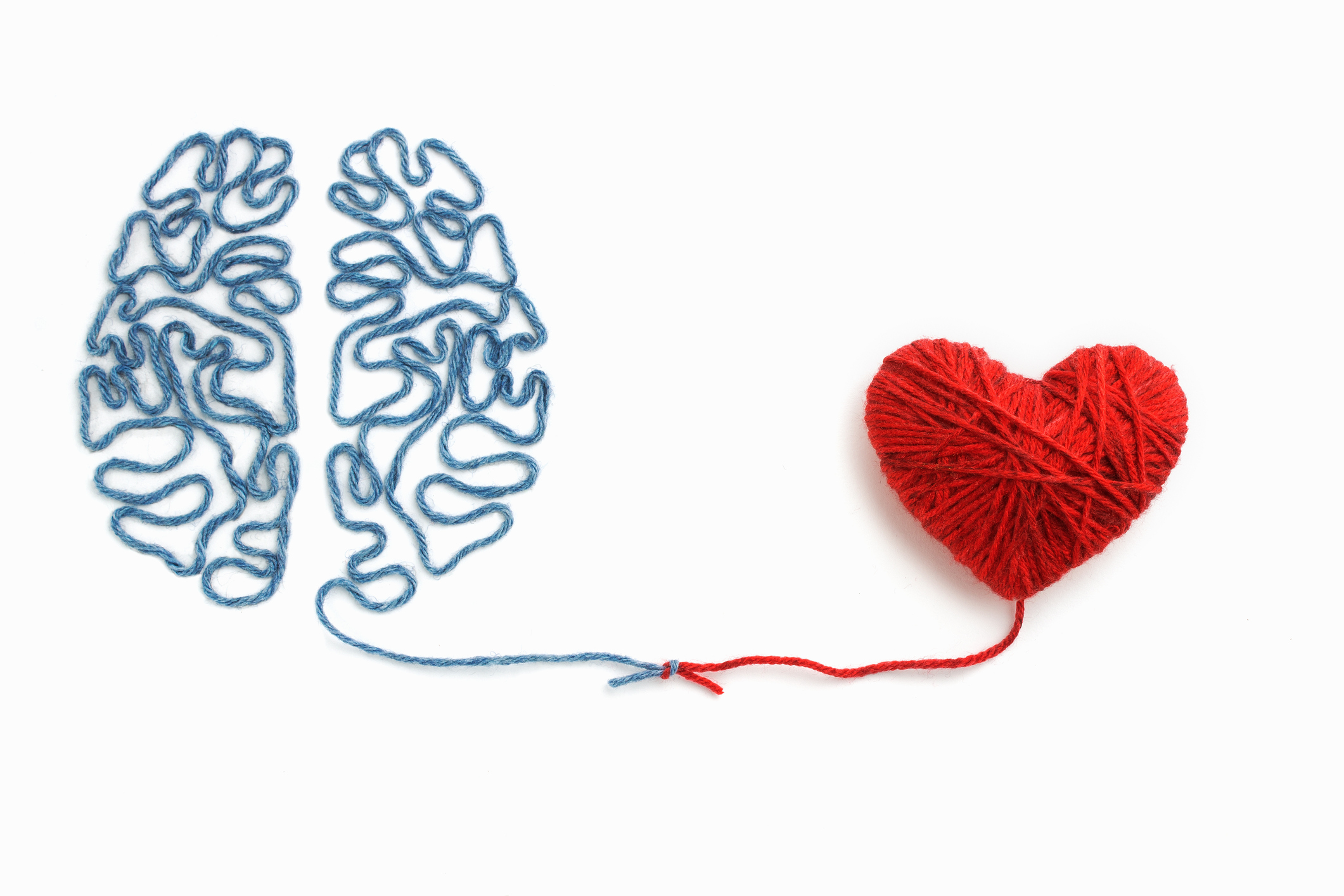 Hearts, guts, and minds: How our multiple brains make for great leaders