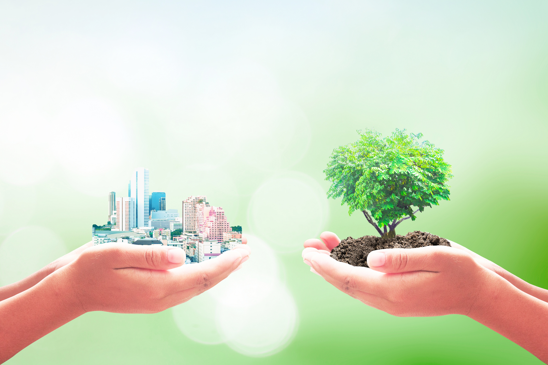 Two human hands holding big city and heart shape of tree over blurred nature background