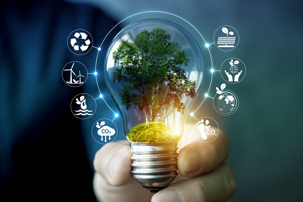 Drivers for Outplacement in the Energy & Utility Sector