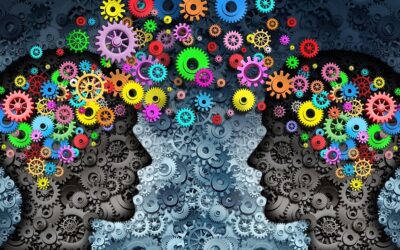 The HR Leader’s Guide to Choosing an Executive Coaching Provider