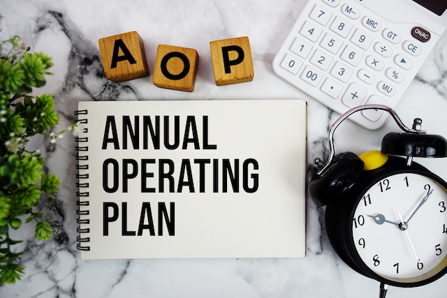 Why an Annual Operating Plan Is Essential for Organizational Success